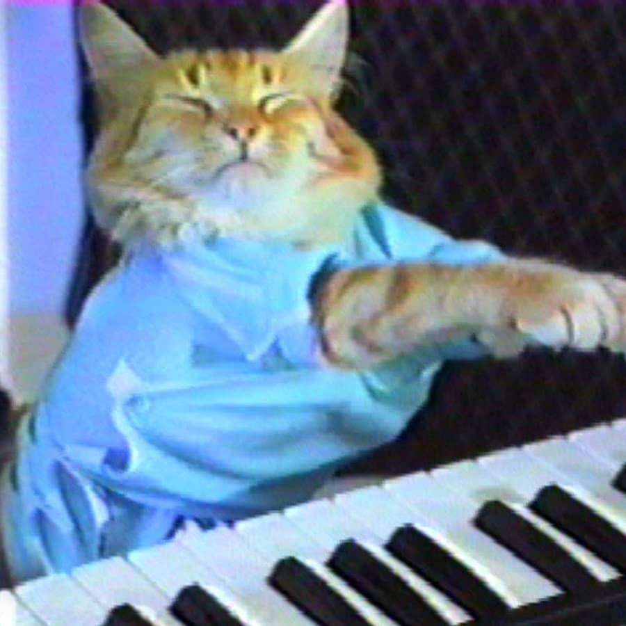 Keyboard Cat